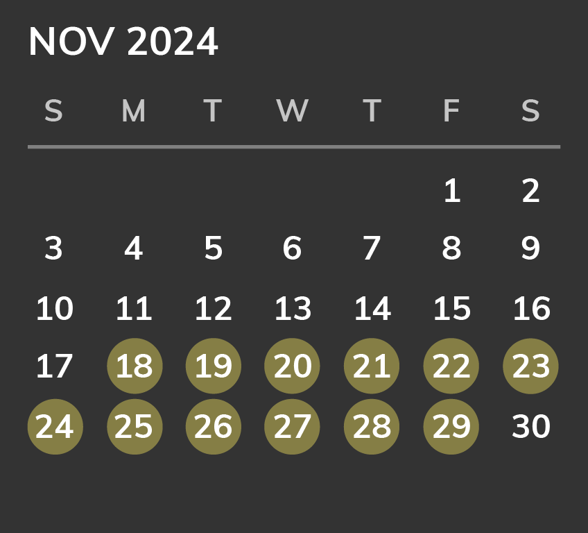 Nov 2024